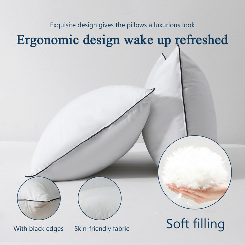 Alwyn Home Quechee Goose Feathers & Down Gusseted Pillow Hotel